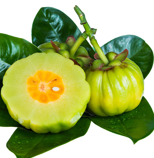 3. Tome suplemento de Garcinia Cambogia