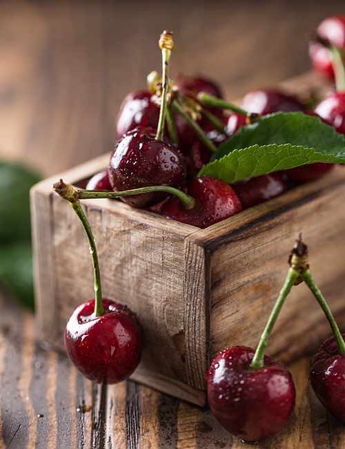 Tart cherries are healthy snack for weight loss at night