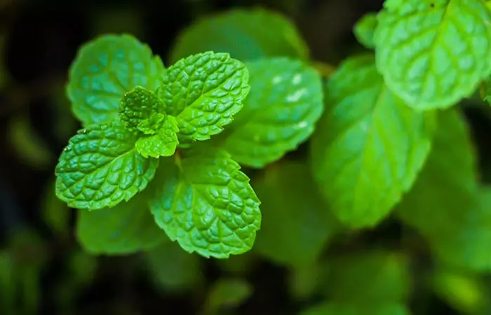 9 Little-Known Ways To Tackle Stomach Problems (3)