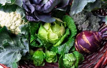 Cabbage, Broccoli, And Other Cruciferous Vegetables