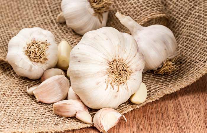 Garlic