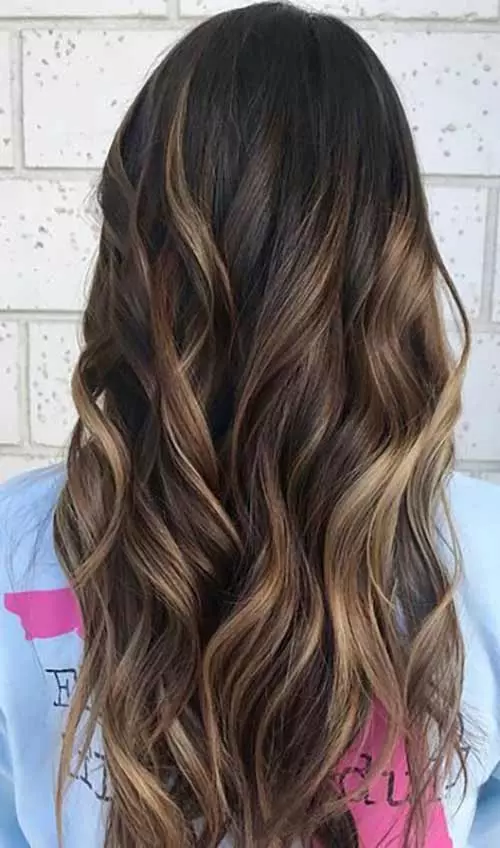 Blonde highlights hair color