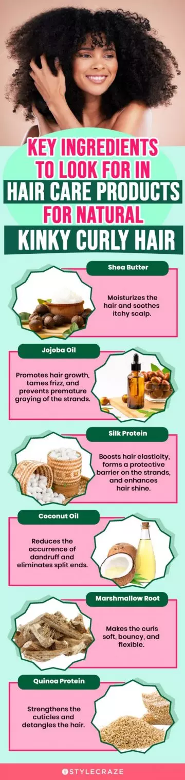 Key Ingredients To Look For In Hair Care Products For Natural Kinky Curly Hair (infographic)