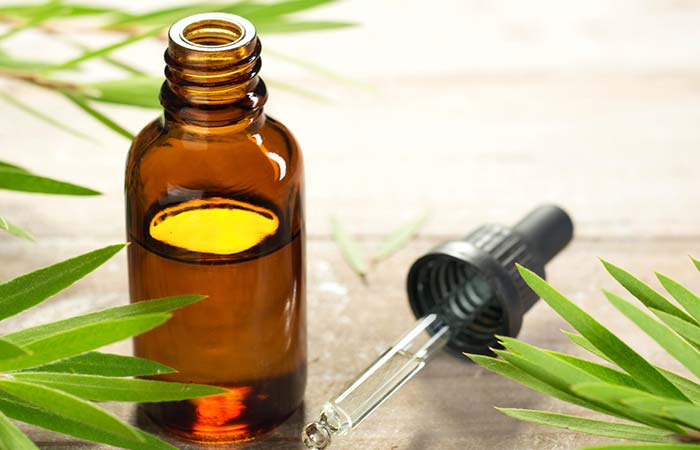 पिंपल हटाने के लिए टी ट्री ऑयल (Tea tree oil)