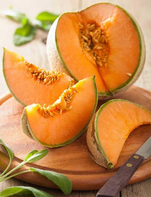 Cantaloupe