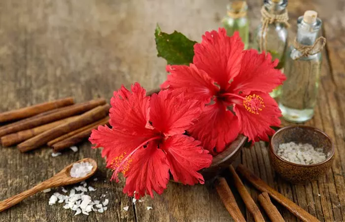 Tulsi And Hibiscus Hair Oil