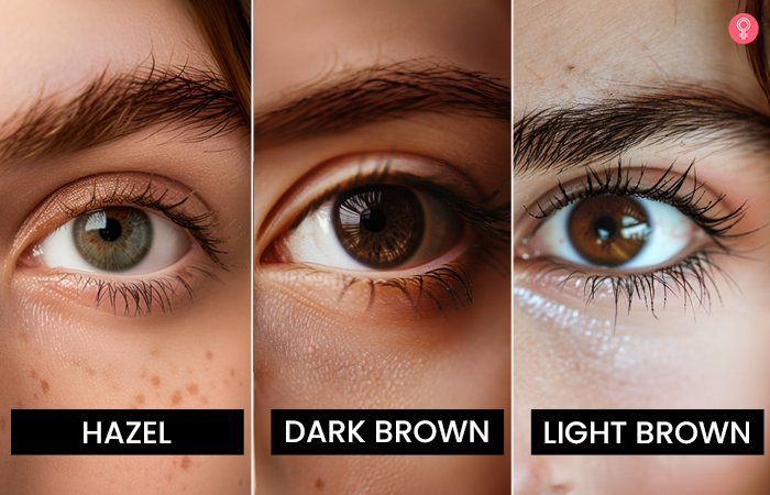 Shades of brown eye color