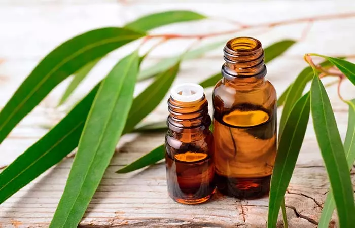 Ways to relieve TMJ pain with eucalyptus oil Ways to relieve TMJ pain with eucalyptus oil