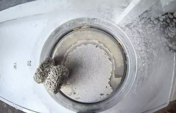 Kettle With Limescale 