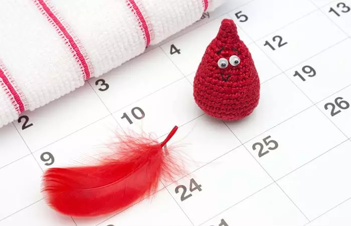 Menstrual Cycle 