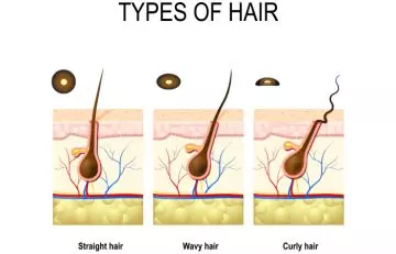 Types of hair