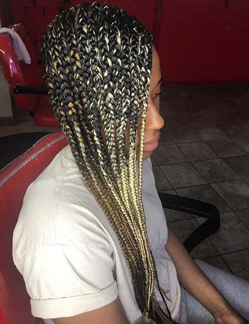 Colored braids protective hairstyle