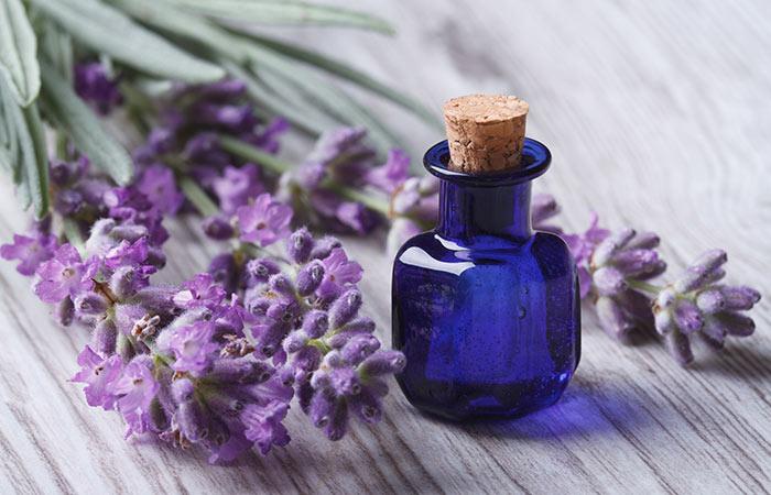 Lavender Oil Lavender Oil