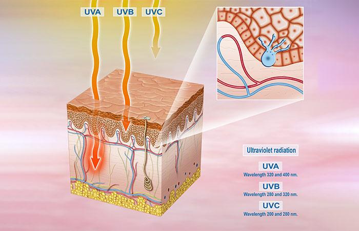 Uva Vs. Uvb Rays – What's The Difference?