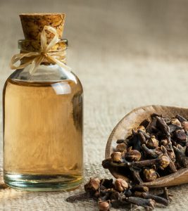All About Clove