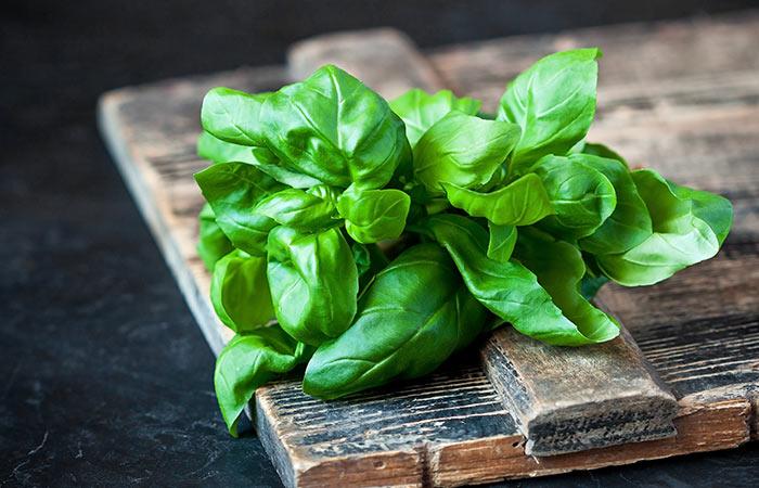 Basil