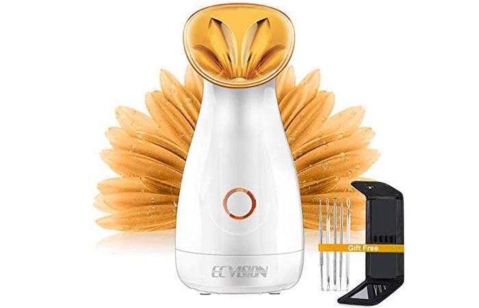 ECVISION Nano Ionic Warm Mist Facial Steamer