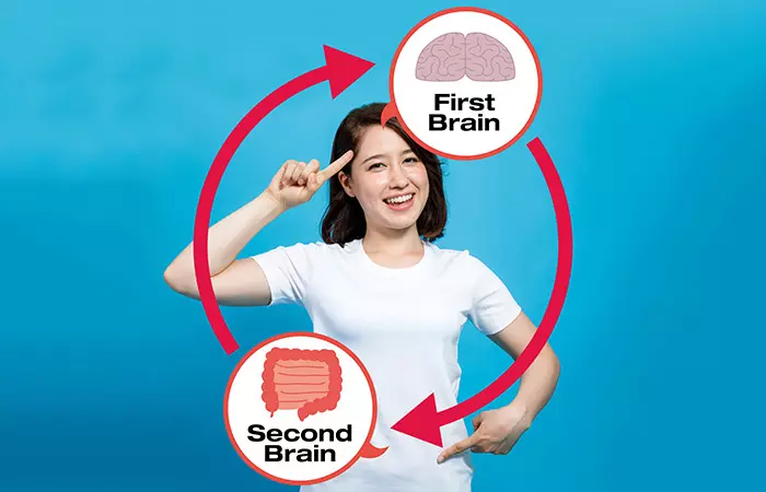 There Is A Second Brain In Your Gut