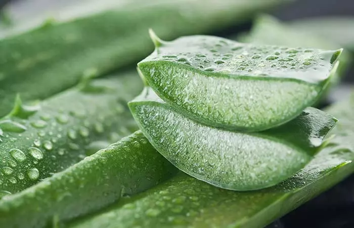 Aloe vera for sunburned lips