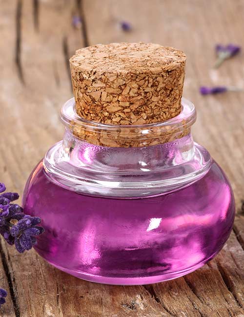 Lavender essential oil for hair growth