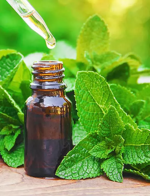 Peppermint essential oil for hair growth