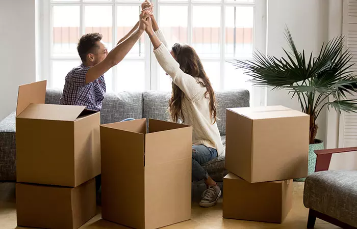 Professional Understanding