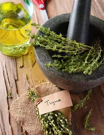 Thyme essential oil for hair growth