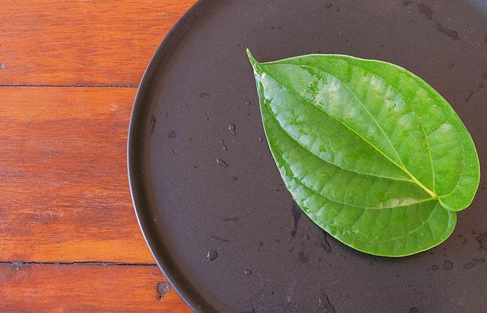 betel leaf