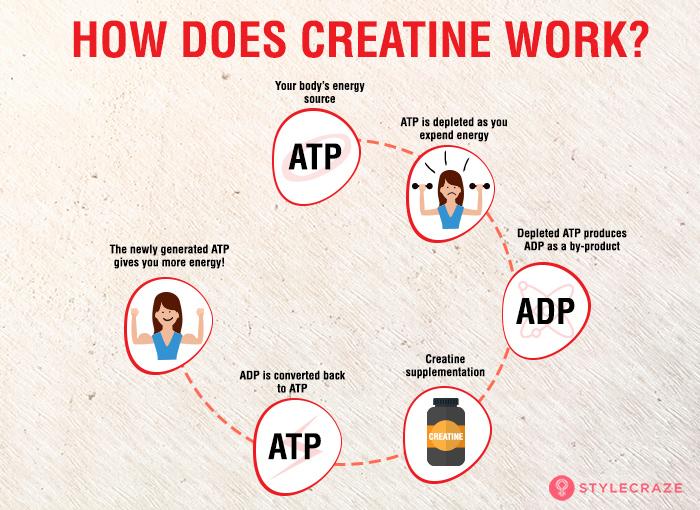 How does creatine work