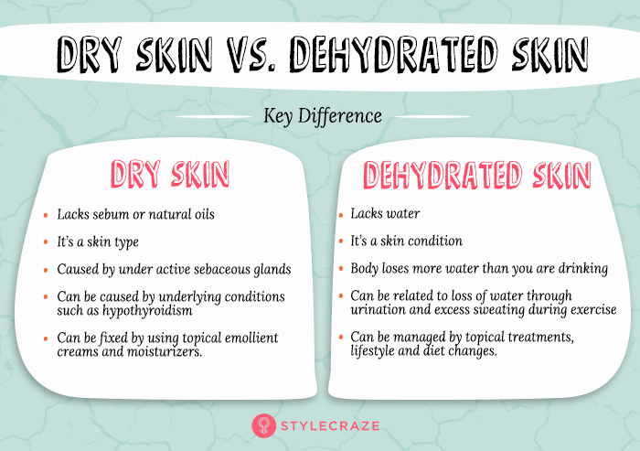Dry skin vs dehydrated skin Key differences