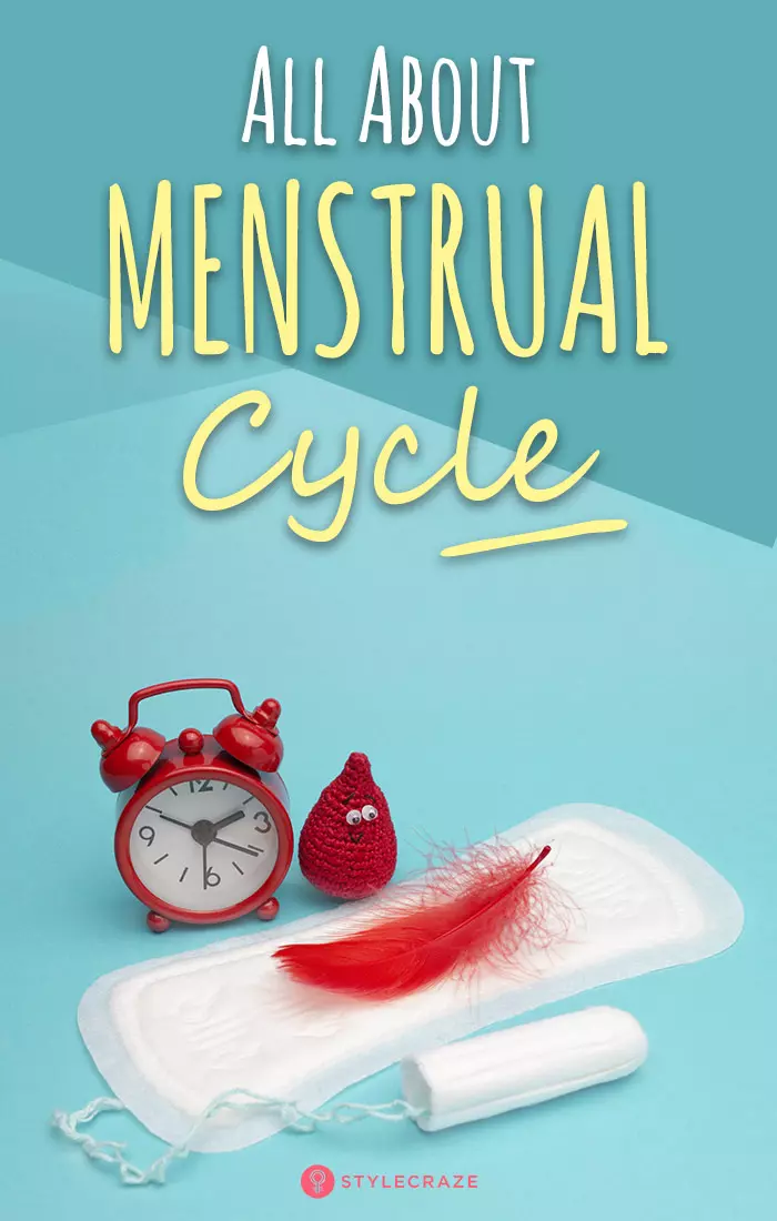 Menstrual Cycle