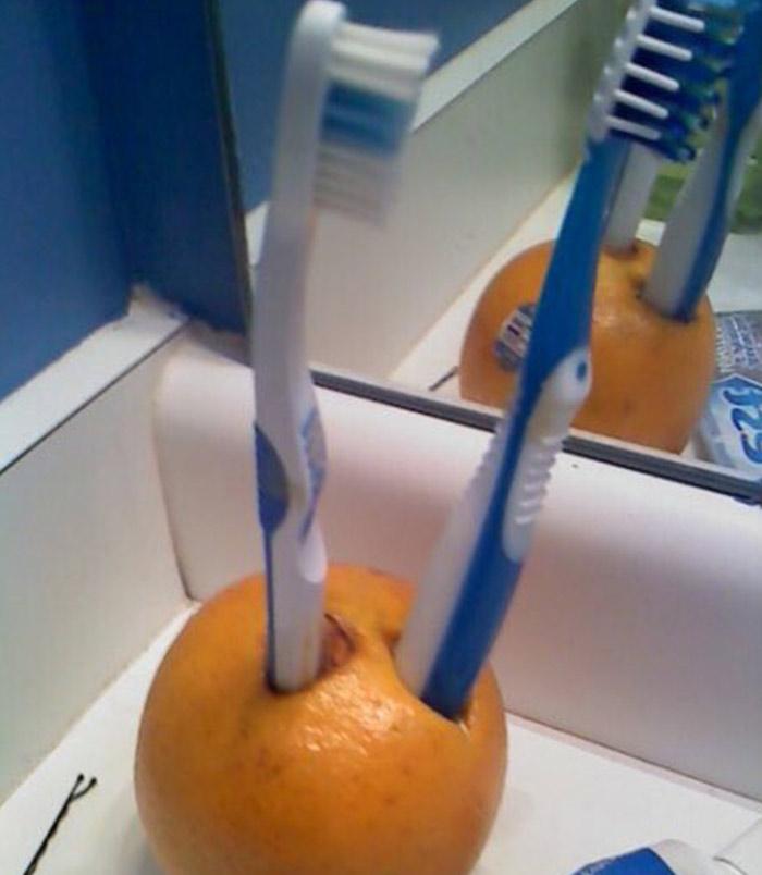 Toothbrush Holder