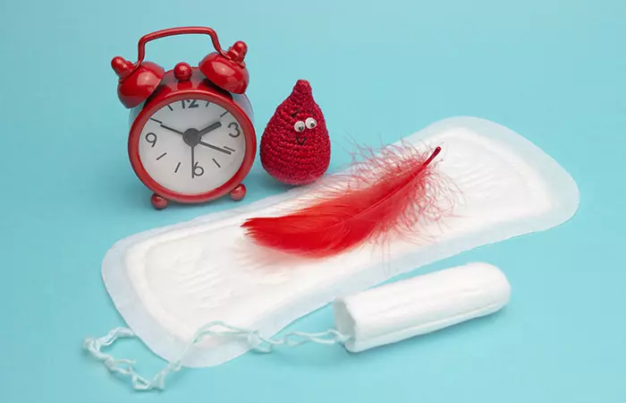 What Is A Menstrual Cycle
