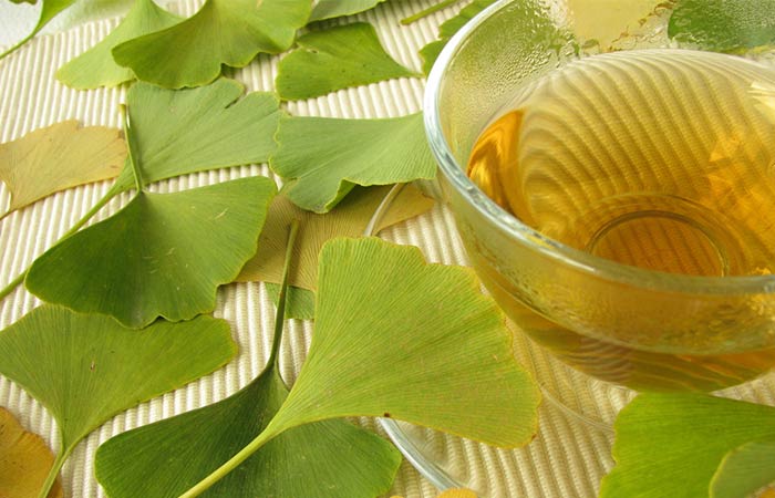 Ginkgo Biloba