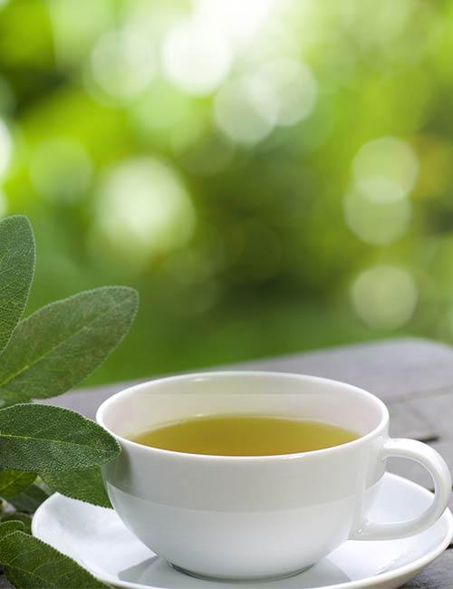 Green Tea Mach Tea