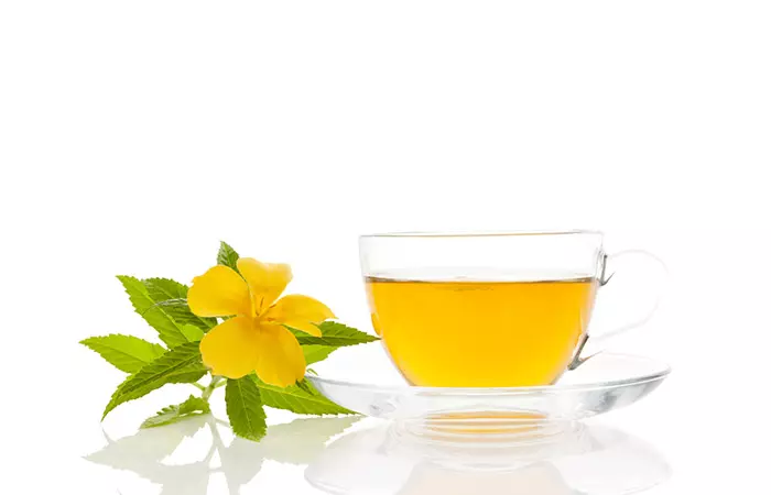 A sprig of damiana flower and leaves beside a cup of its brew