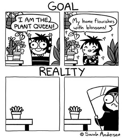 I Could Be The Planting Queen. At Least, That’s What I Thought