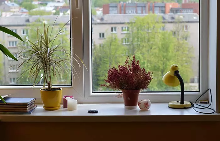 Place Small Potted Plants In The Corners