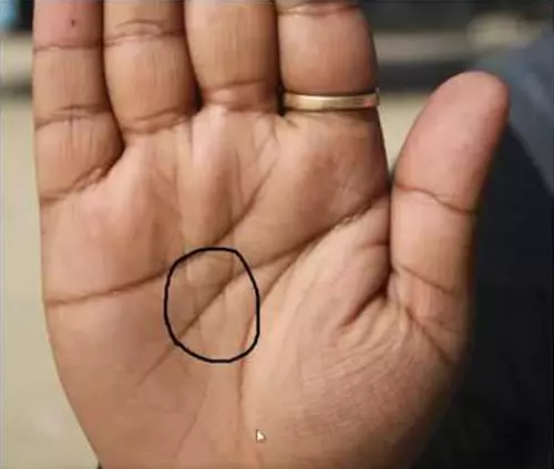 The Significance Of The Fish Symbol