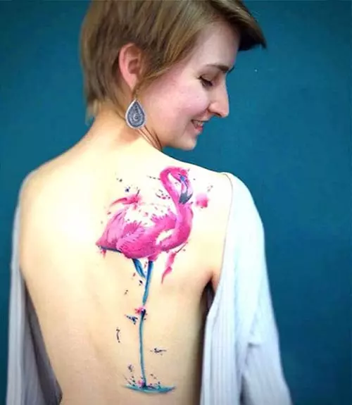 This Is For Those Who Seek Some Drama 