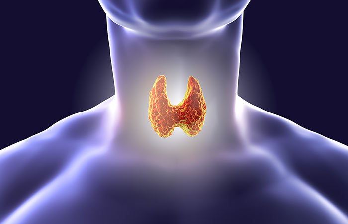 Types of Thyroid in Hindi