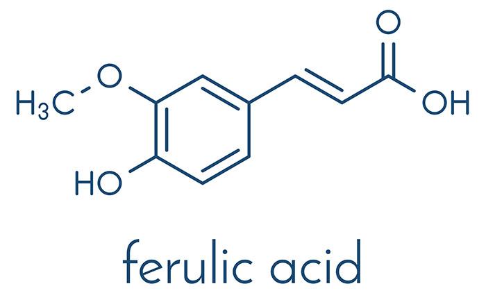 What Is Ferulic Acid And Why Does Your Skin Need It 0309