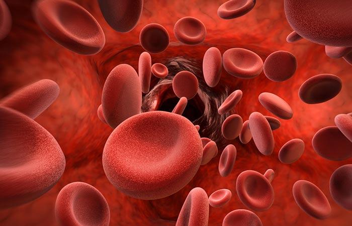 What Is Hemoglobin