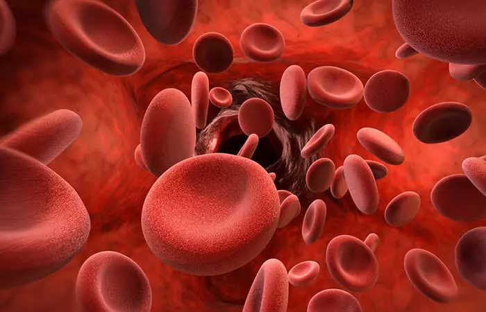 What Is Hemoglobin