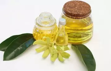 Ylang-ylang oil essential oil for wrinkles