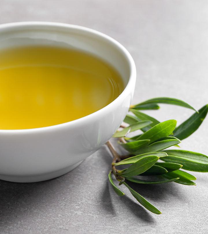 Olive Leaf Extract 11 Health Benefits And How To Make It Olive Leaf Extract 11 Health Benefits And How To Make It