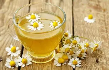 Chamomile tea for overactive bladder
