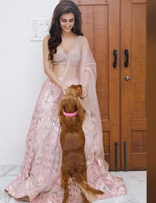 Disha Patanis Furry Friends