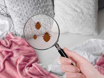 Home Remedies to Get Rid of Bed Bugs in Hindi