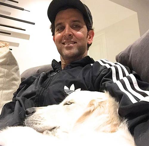 Meet This Pooch Who Favors Hritik Roshan As His Cushion